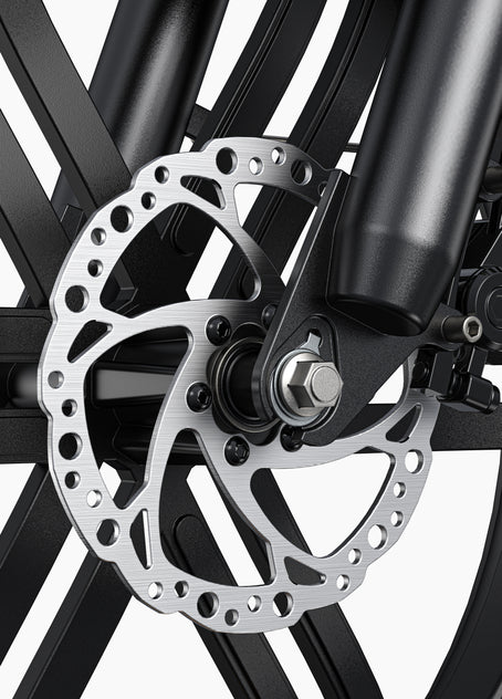 Vélo électrique L20 Boost Step-Thru