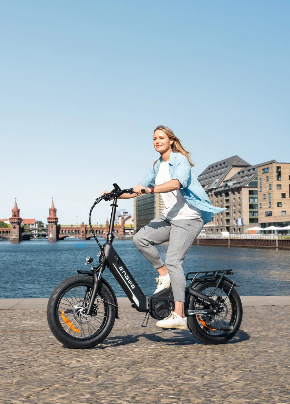 L20 3.0 Pro Electric Bike