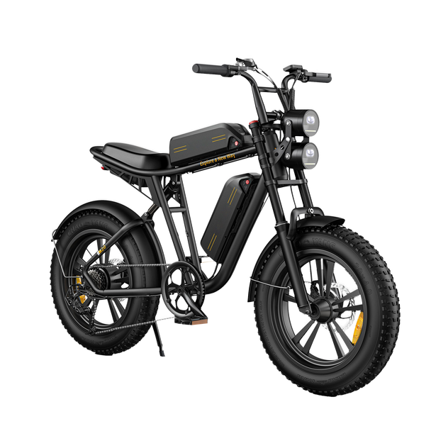 M20 Motorcycle-styled Electric Bike