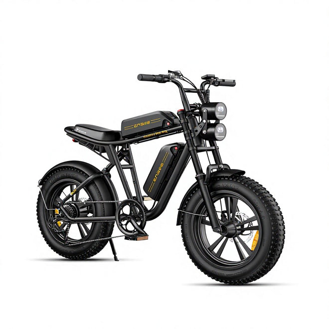 M20 Motorcycle-styled Electric Bike